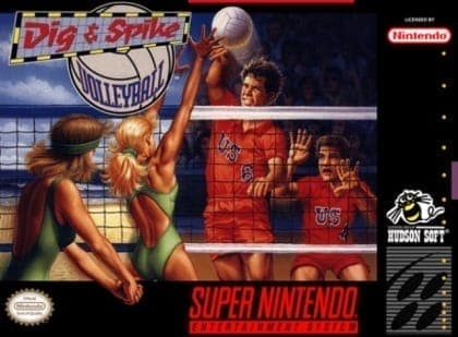 Dig & Spike Volleyball